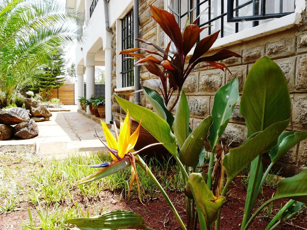 Maison Mitwaba Nairobi Buitenkant foto
